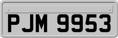 PJM9953