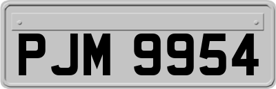 PJM9954
