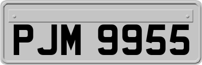 PJM9955