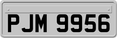 PJM9956