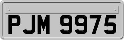 PJM9975