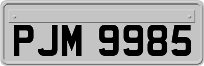 PJM9985