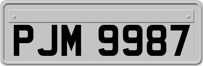 PJM9987