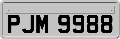 PJM9988