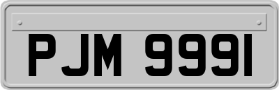 PJM9991