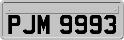 PJM9993