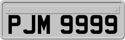 PJM9999