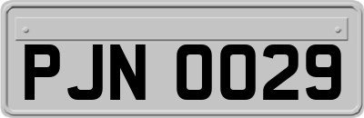 PJN0029