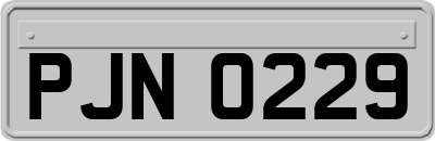 PJN0229