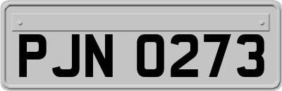 PJN0273