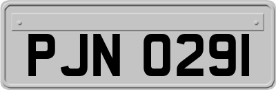 PJN0291