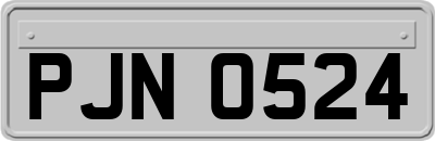 PJN0524