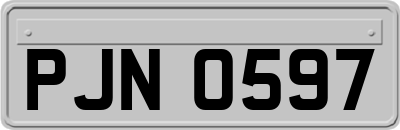 PJN0597