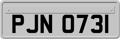 PJN0731
