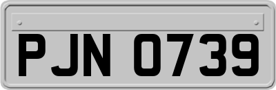 PJN0739
