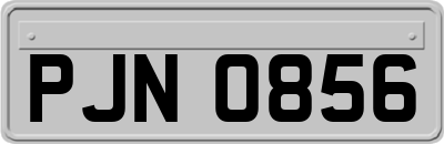 PJN0856