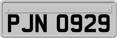 PJN0929