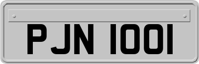 PJN1001