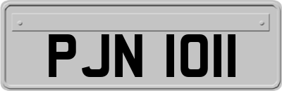 PJN1011