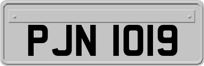 PJN1019