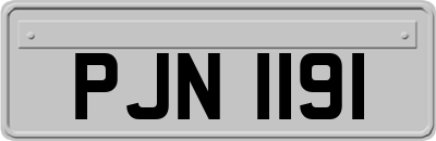 PJN1191