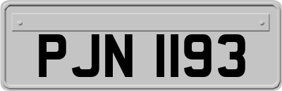 PJN1193