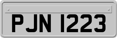 PJN1223