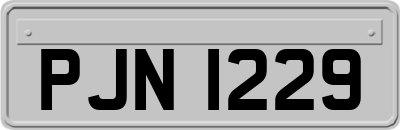 PJN1229