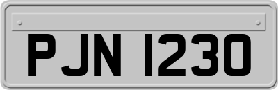 PJN1230