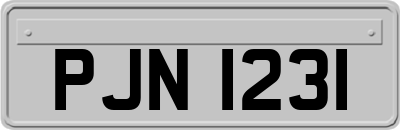 PJN1231