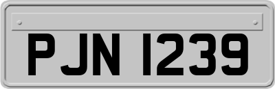 PJN1239