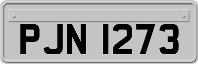 PJN1273