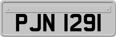 PJN1291