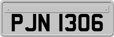 PJN1306