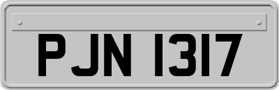 PJN1317