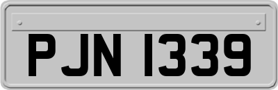 PJN1339