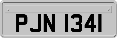 PJN1341