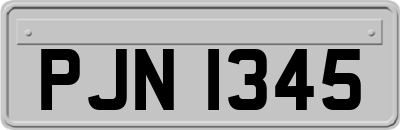 PJN1345