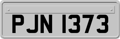 PJN1373