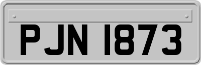 PJN1873