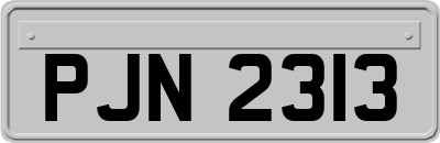 PJN2313