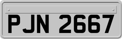 PJN2667