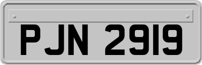 PJN2919