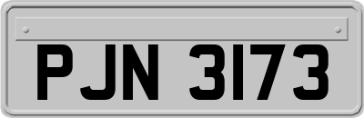 PJN3173