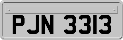 PJN3313