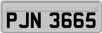 PJN3665
