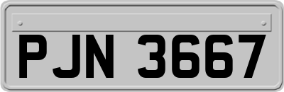 PJN3667