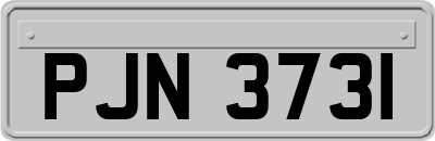 PJN3731
