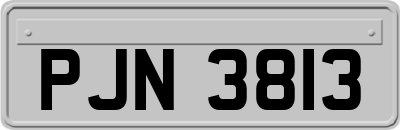 PJN3813