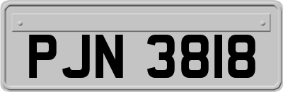 PJN3818